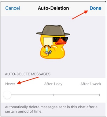 حذف خودکار پیام در گروه تلگرام