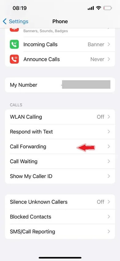 دایورت خط ایرانسل از طریق تنظیمات گوشی در iOS